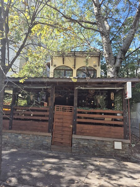 Teiul Doamnei, Colentina,